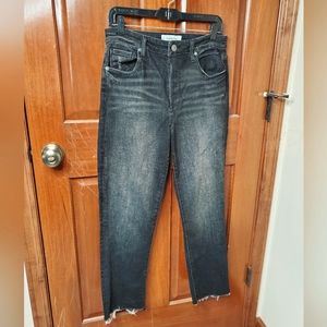 Evereve the ever straight jean